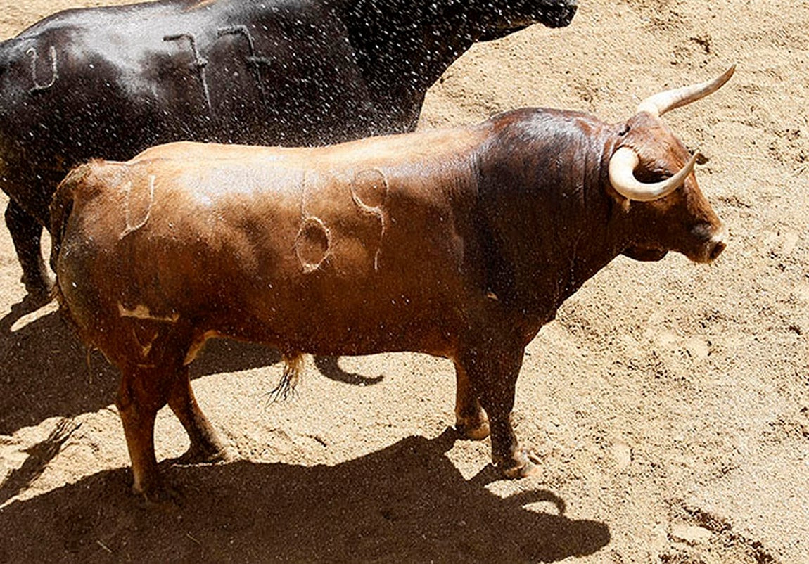 Estos son los juampedros para Ponce, Manzanares y Roca en la Feria de Abril