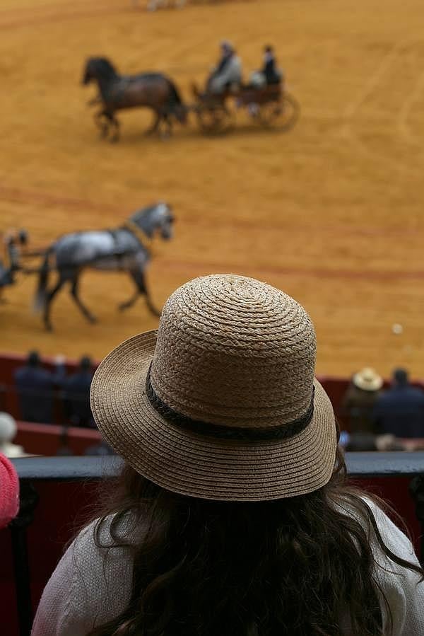 Exhibición de enganches en la Maestranza