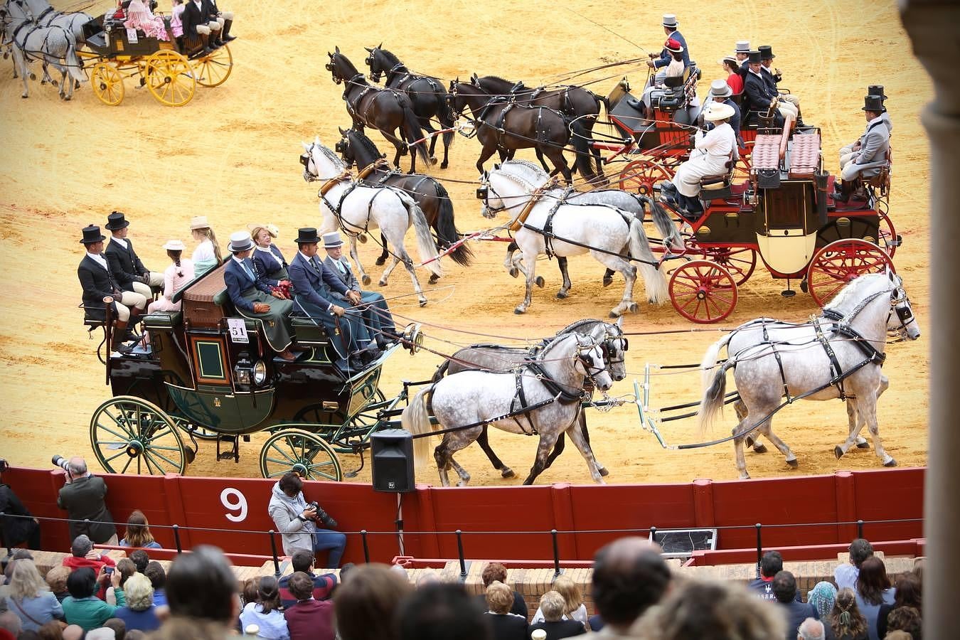 Exhibición de enganches en la Maestranza