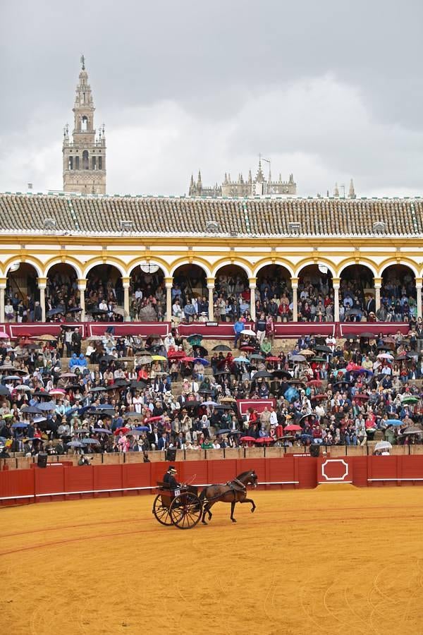 Exhibición de enganches en la Maestranza