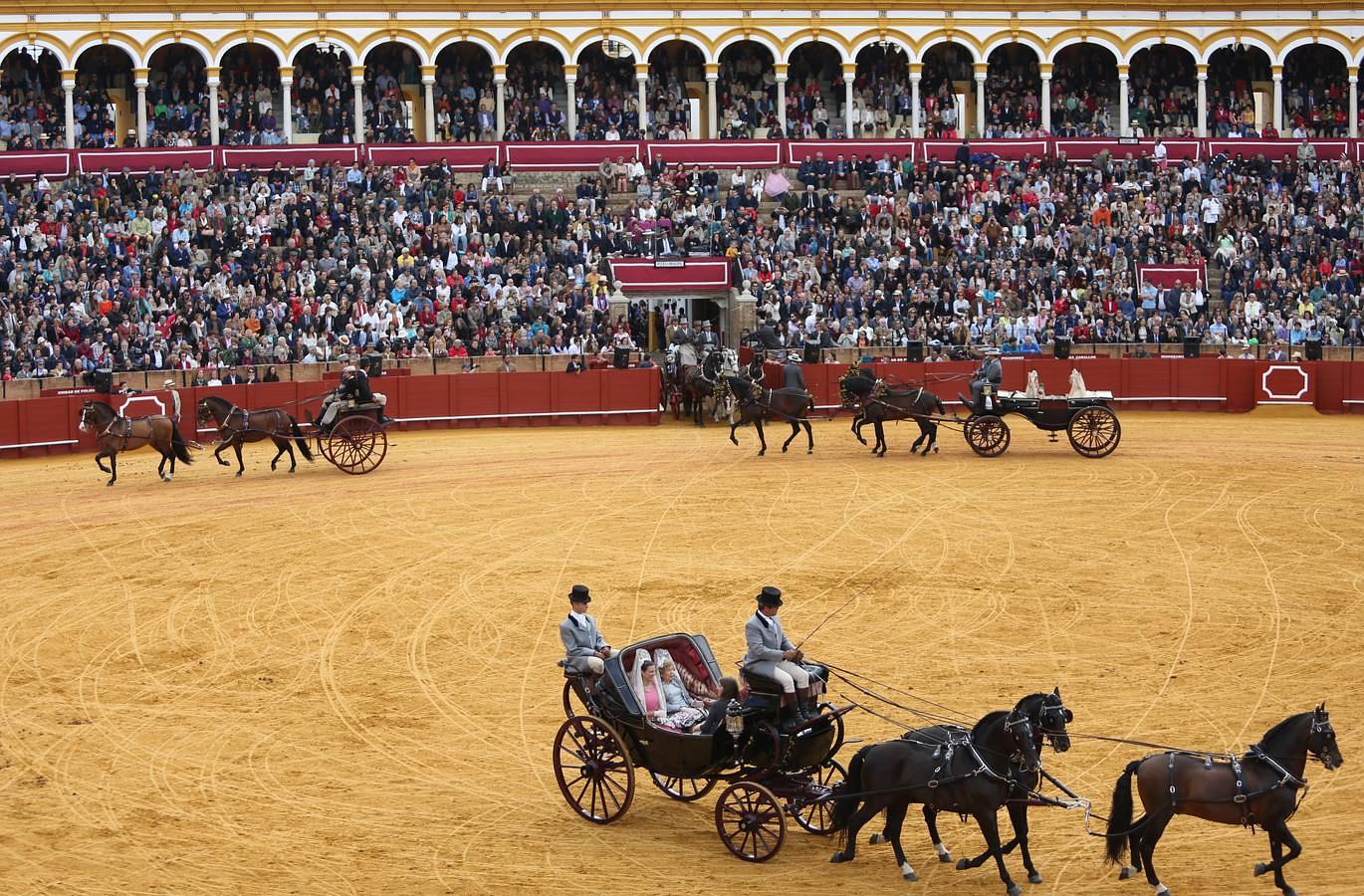 Exhibición de enganches en la Maestranza