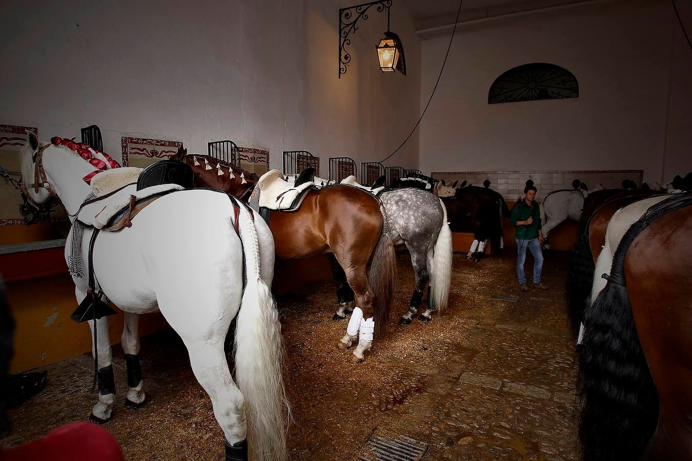 Diego Ventura acaricia la Puerta del Principe en la corrida del domingo