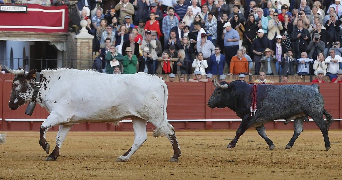Imágenes de la tarde en la que un Victorino engrandeció la Feria de Abril