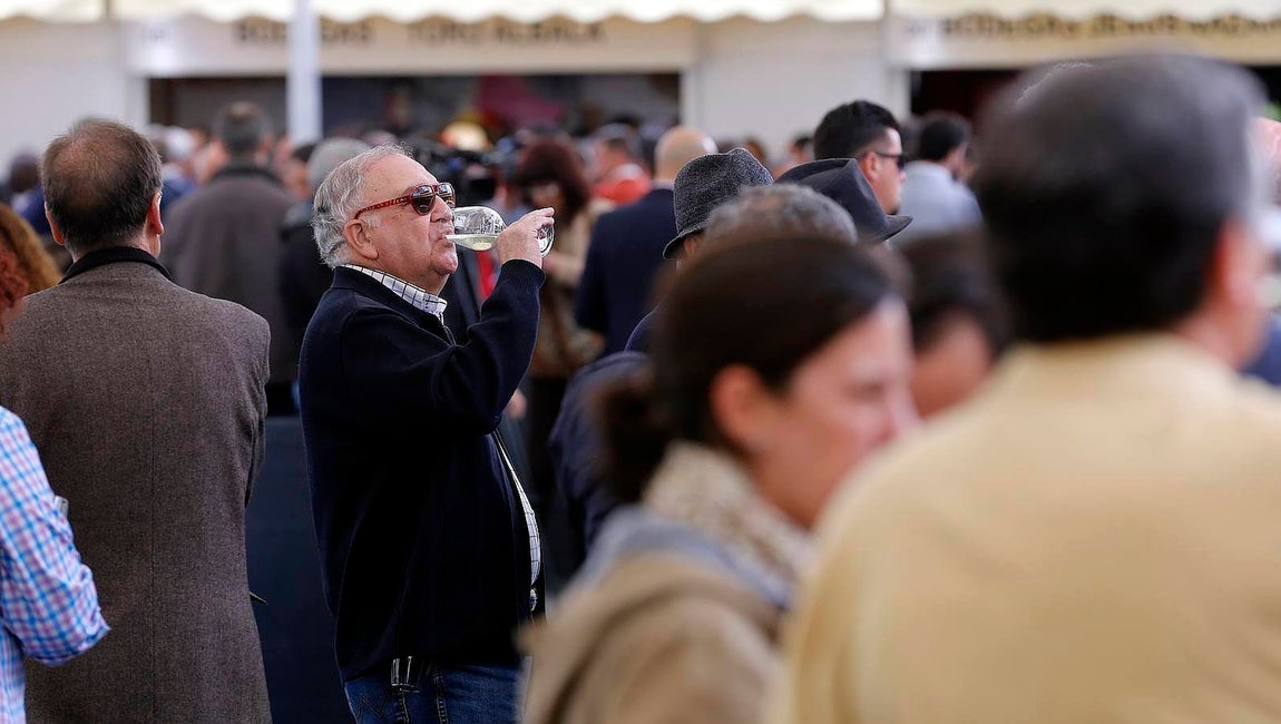 En imágenes, el arranque de la Cata del Vino Montilla-Moriles