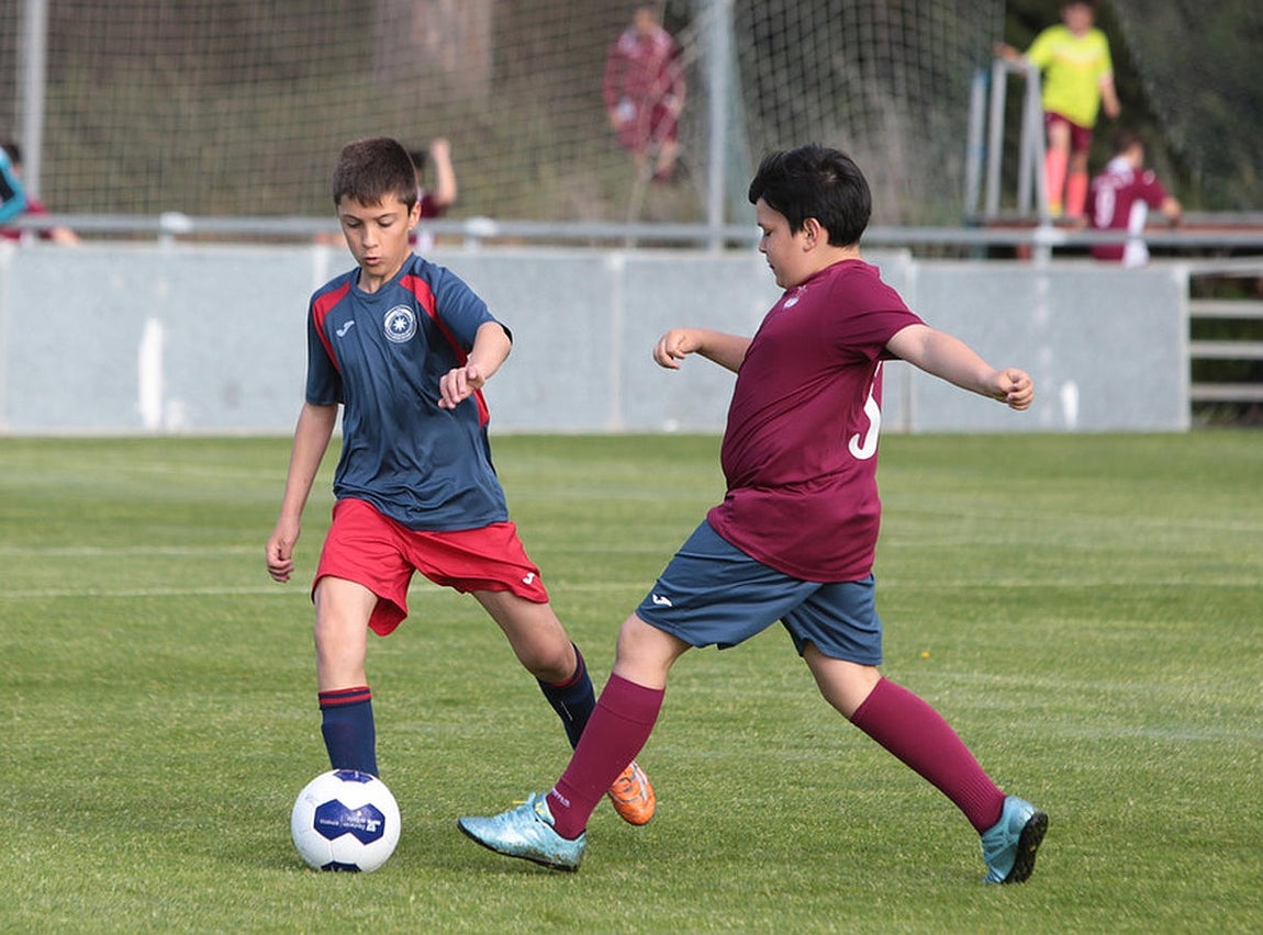 Fotos: Copa Diputación de escuelas de fútbol en El Rosal