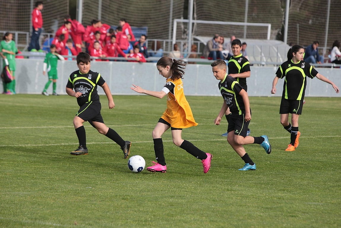 Fotos: Copa Diputación de escuelas de fútbol en El Rosal