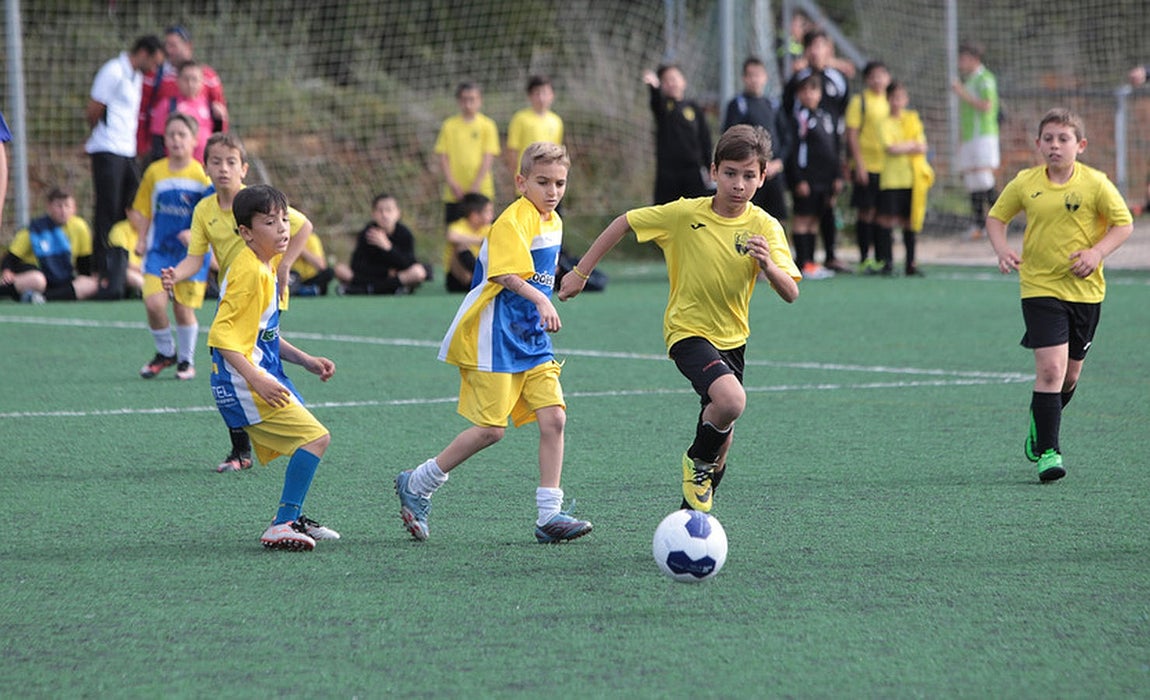 Fotos: Copa Diputación de escuelas de fútbol en El Rosal