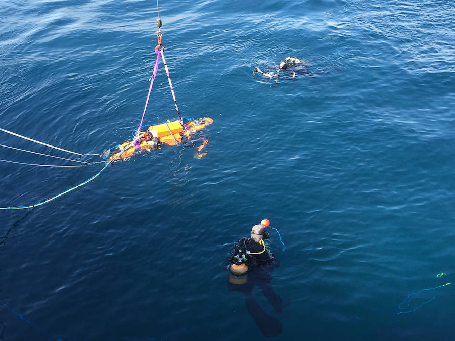 Todo a punto para dejarle en libertad. 