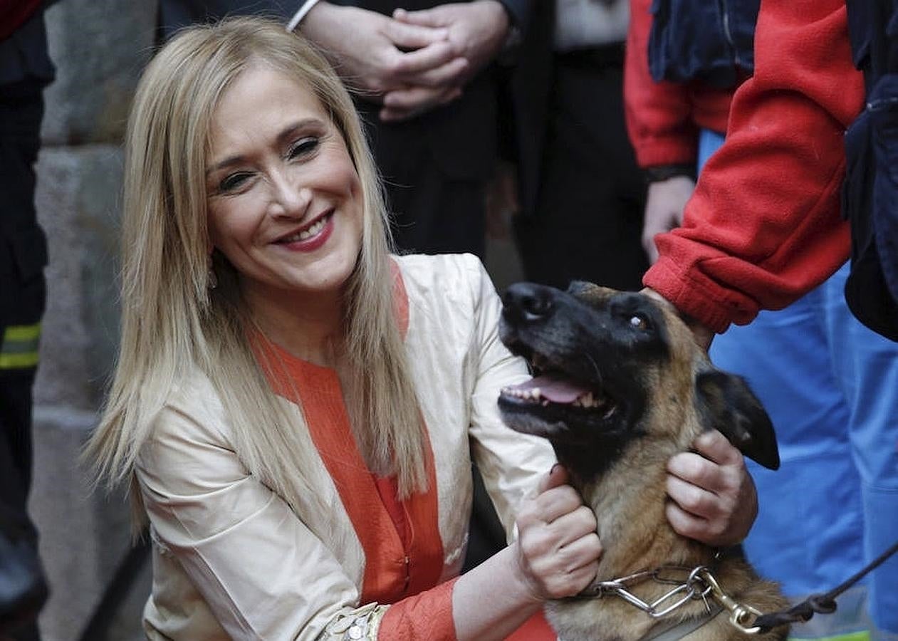 16. Cifuentes con un perro de rescate del Equipo de Emergencia y Respuesta Inmediata de la Comunidad de Madrid