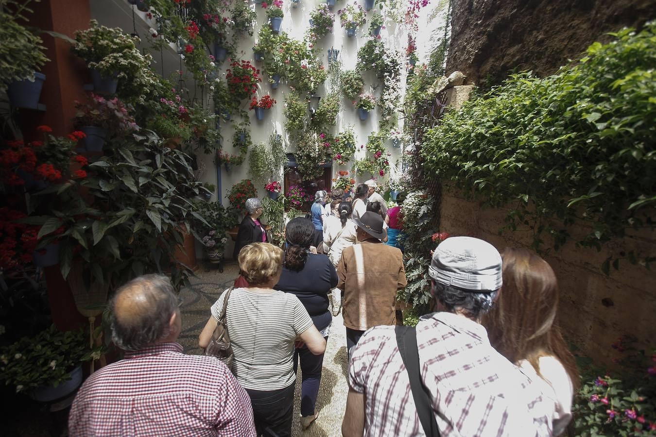 La primera jornada de los Patios, en imágenes