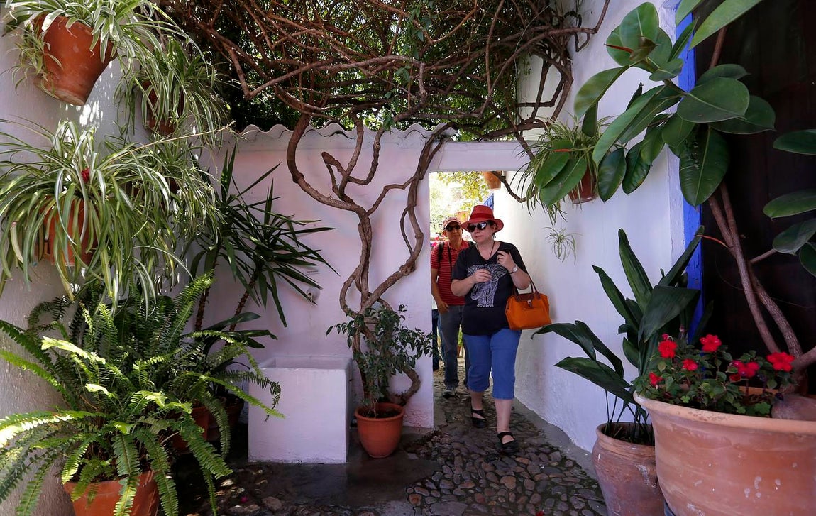 En imágenes, los Patios de Santa Marina y San Agustín en Córdoba