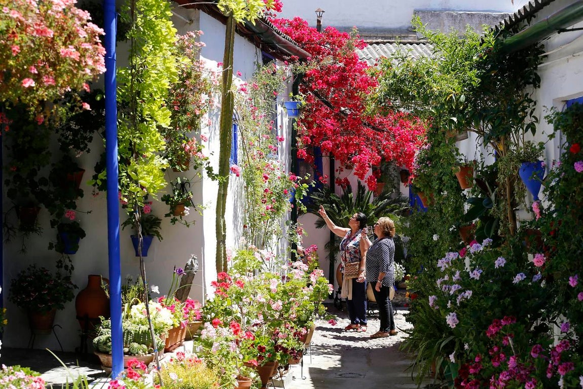 En imágenes, los Patios de Santa Marina y San Agustín en Córdoba