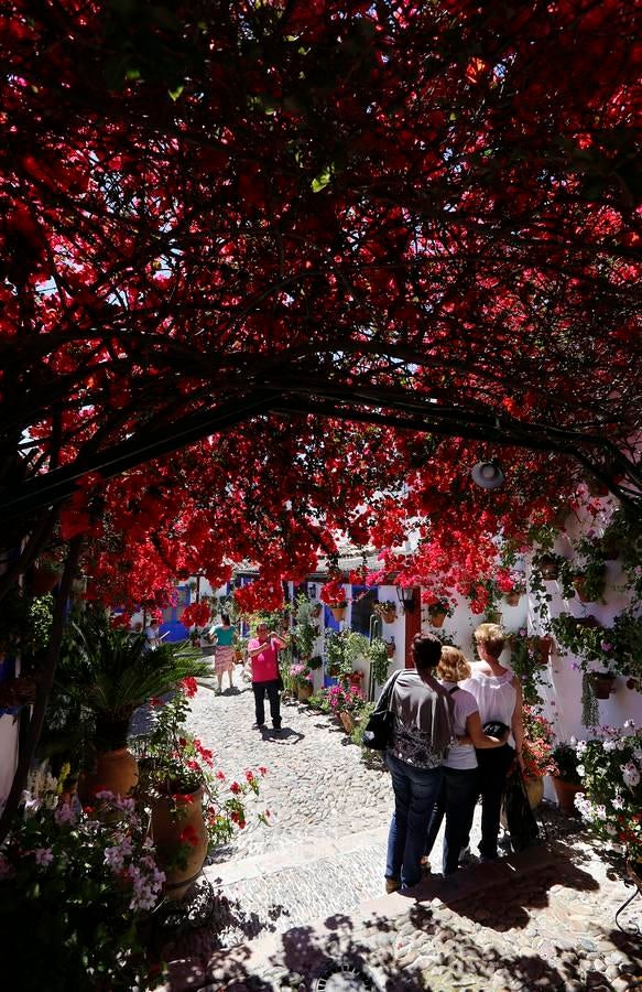 En imágenes, los Patios de Santa Marina y San Agustín en Córdoba