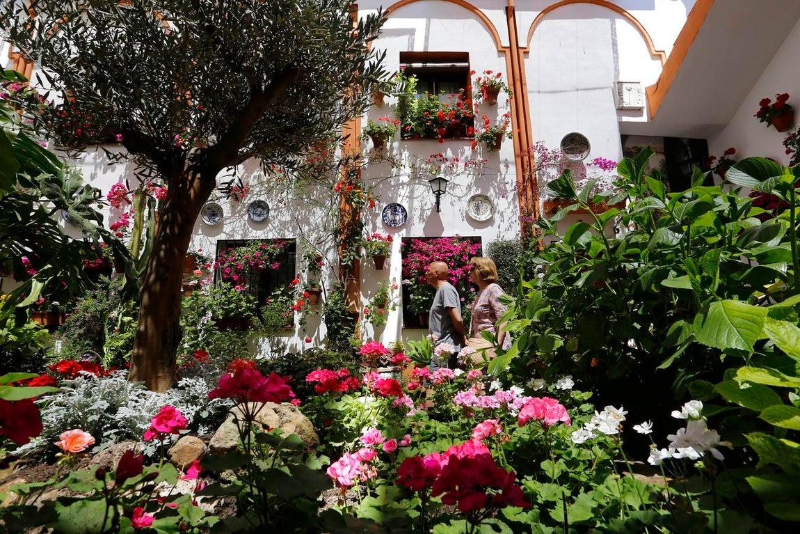 En imágenes, los Patios de Santa Marina y San Agustín en Córdoba