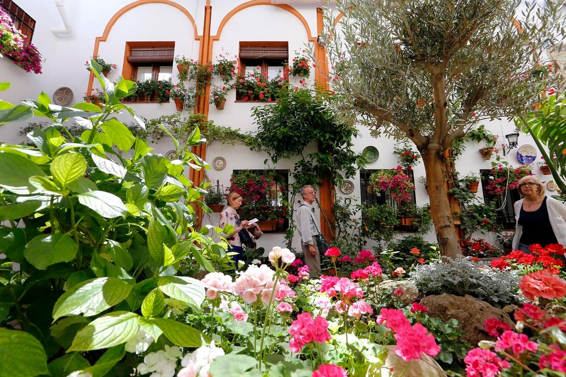 En imágenes, los Patios de Santa Marina y San Agustín en Córdoba