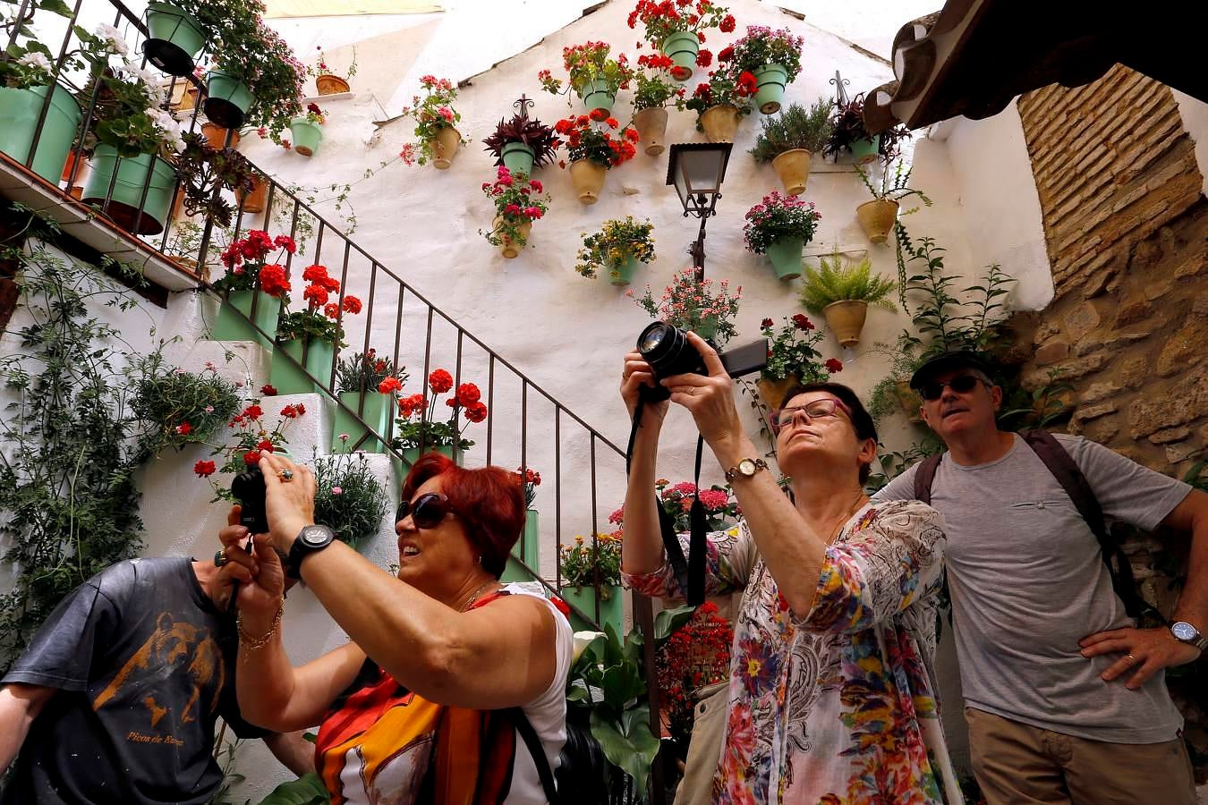 En imágenes, los Patios del Alcázar Viejo