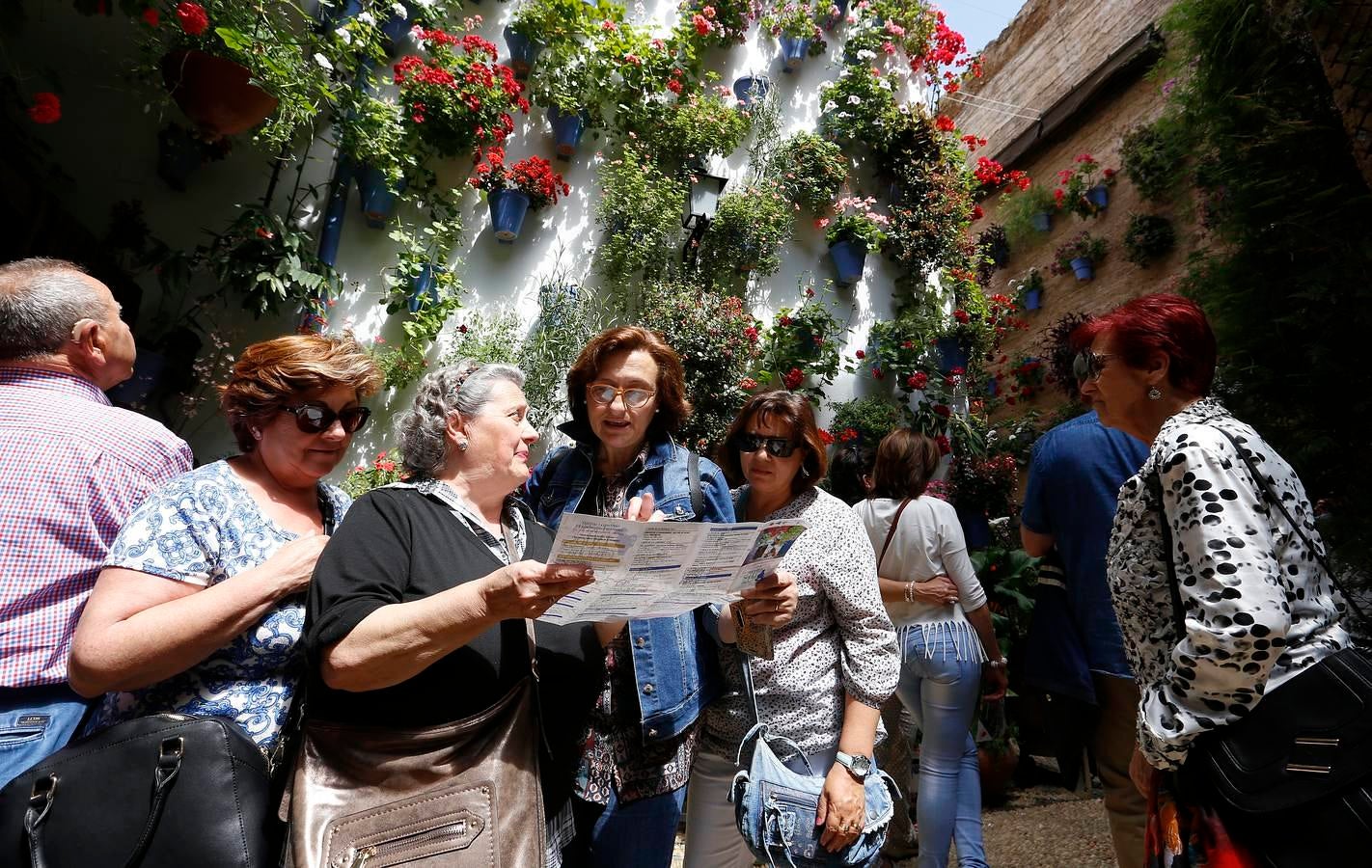 En imágenes, los Patios del Alcázar Viejo