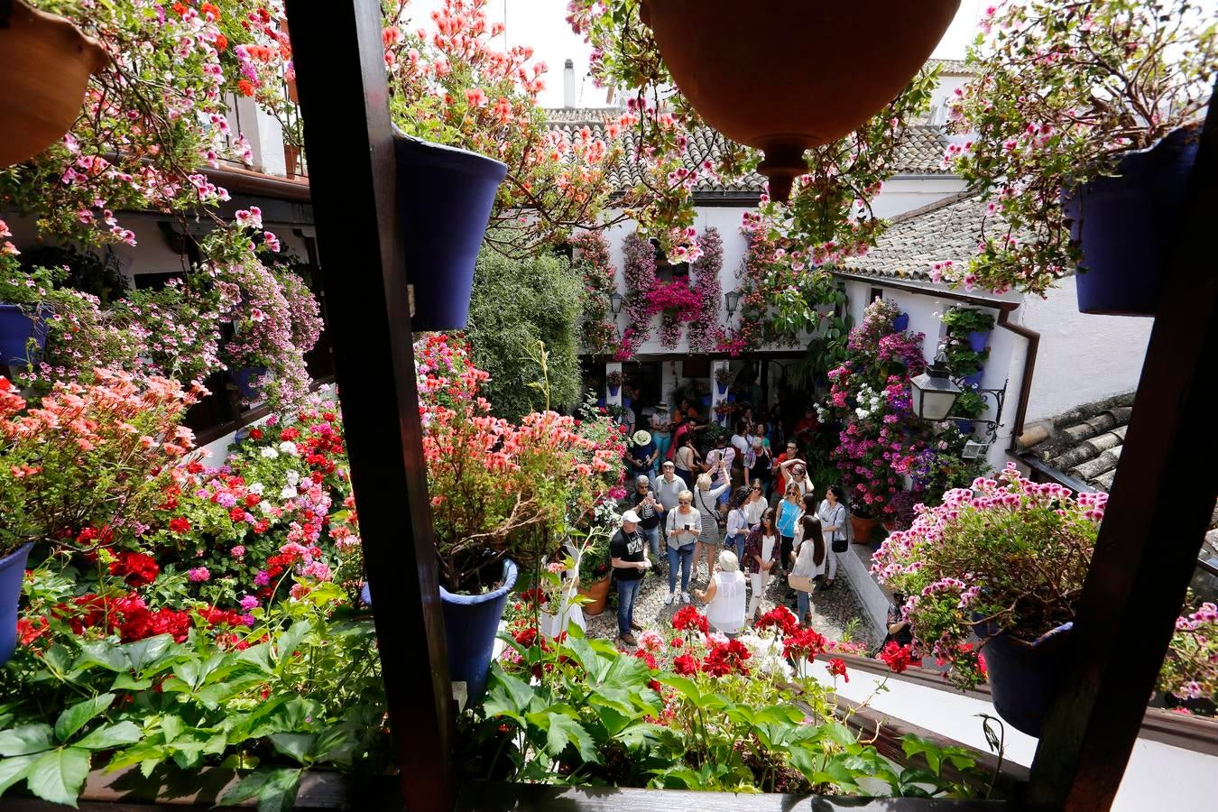 En imágenes, los Patios del Alcázar Viejo