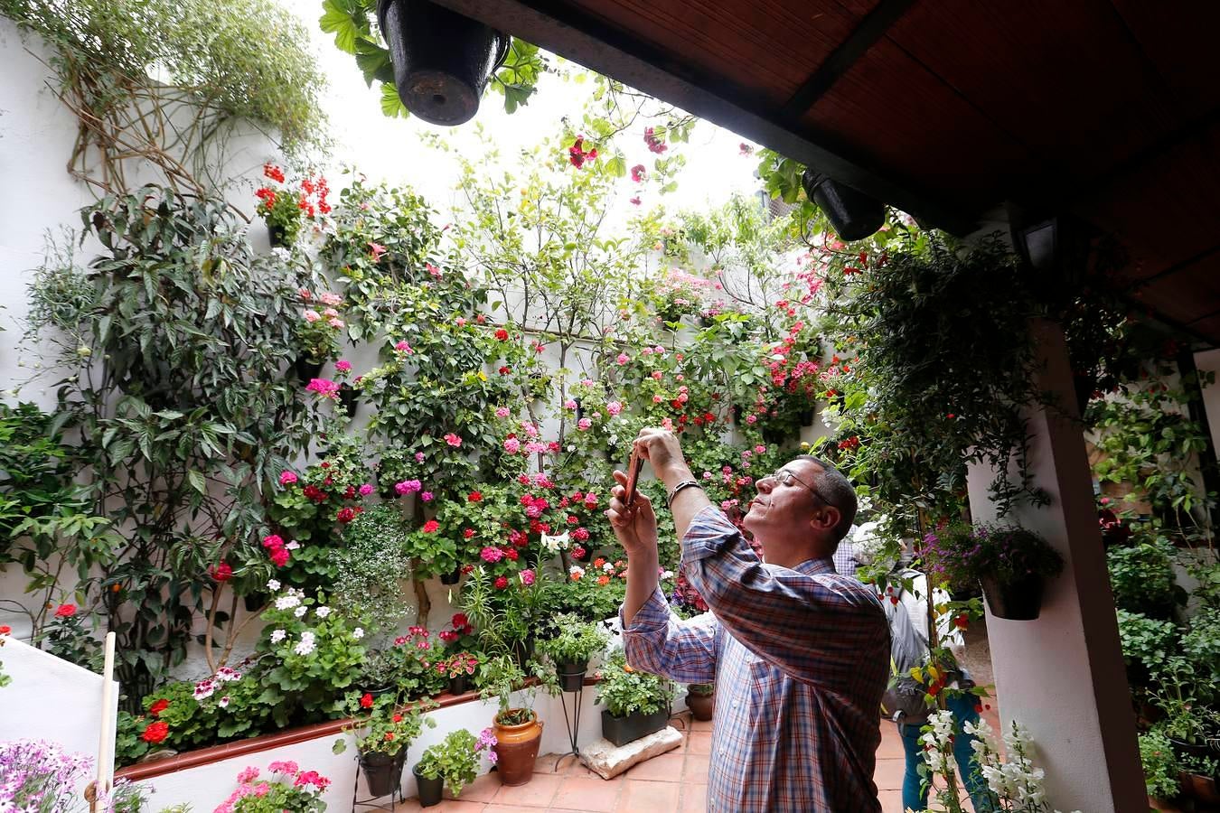 En imágenes, los Patios del Alcázar Viejo