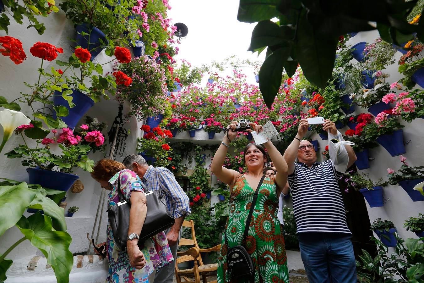 En imágenes, los Patios del Alcázar Viejo