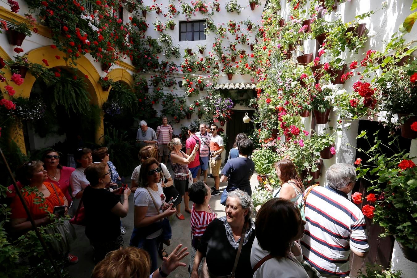 En imágenes, los Patios del Alcázar Viejo