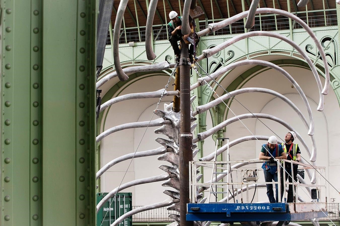 Instalación. Un momento del montaje del esqueleto