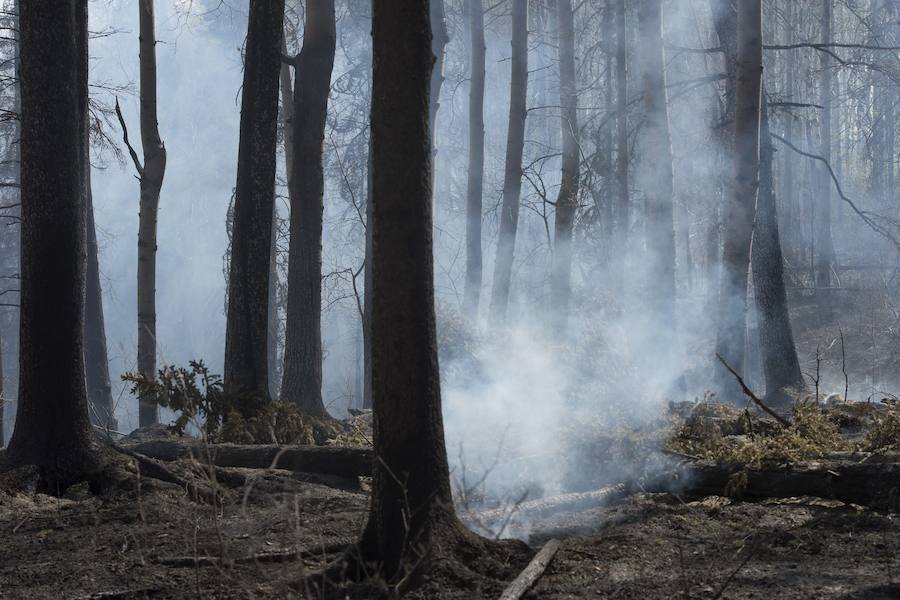 El furioso incendio de Canadá, en imágenes