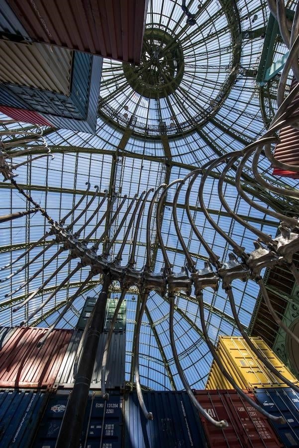 Las imágenes de la espectacular exposición en el Gran Palais de París