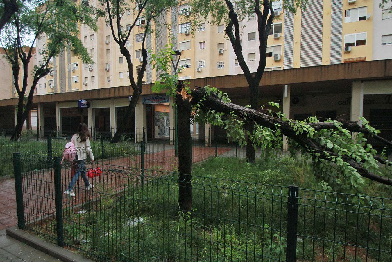 La lluvia provoca decenas de incidencias en Sevilla