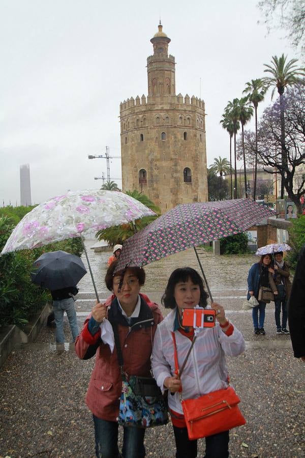 La lluvia provoca decenas de incidencias en Sevilla