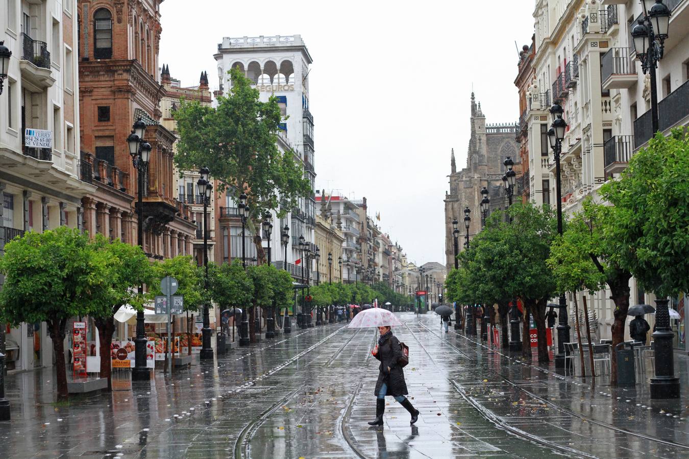 La lluvia provoca decenas de incidencias en Sevilla