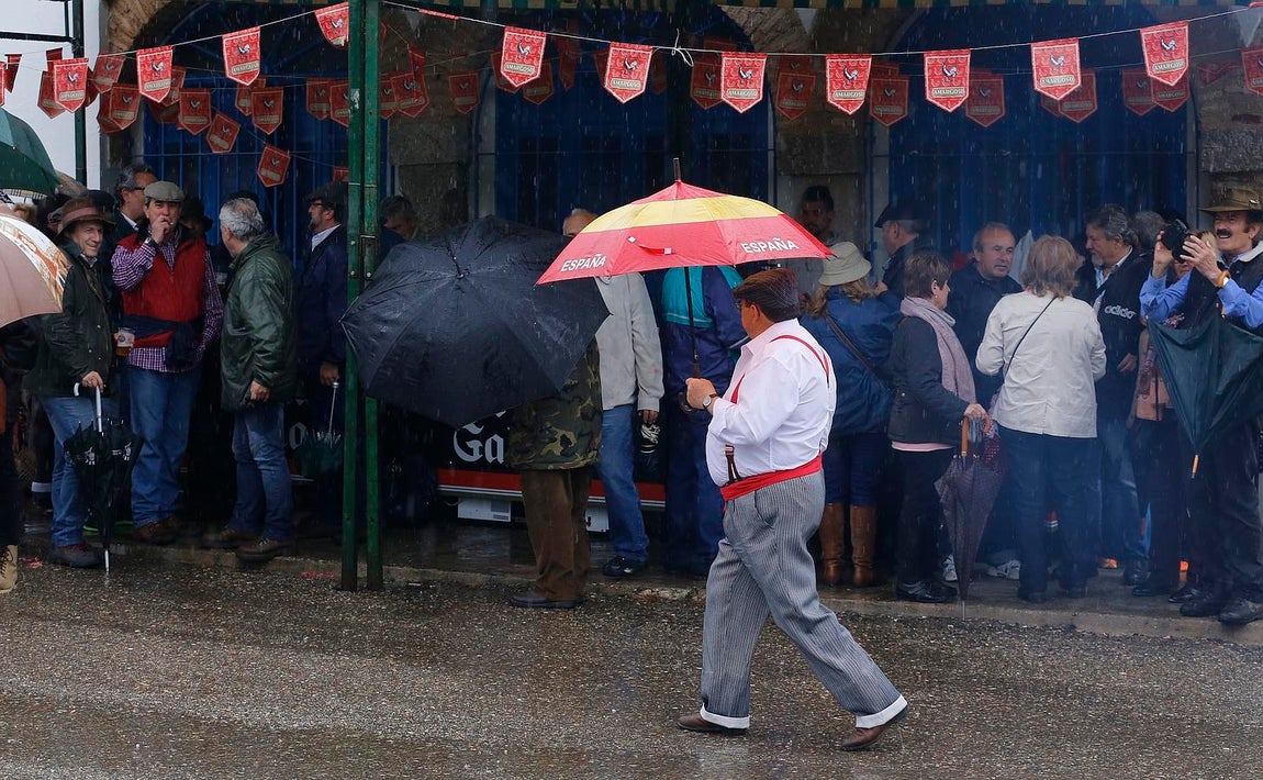 La Romería de la Virgen de Linares, en imágenes