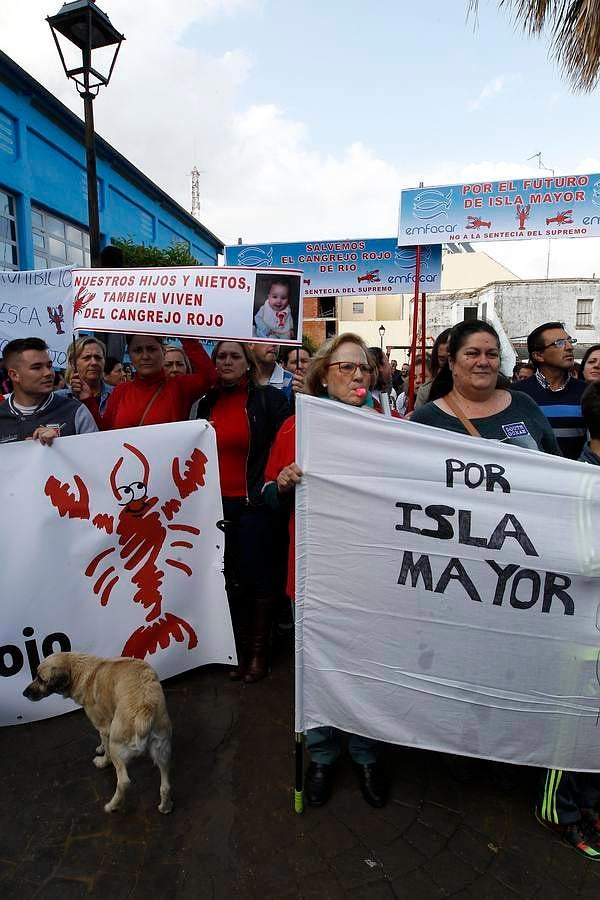 Isla Mayor, a favor de la pesca del cangrejo rojo