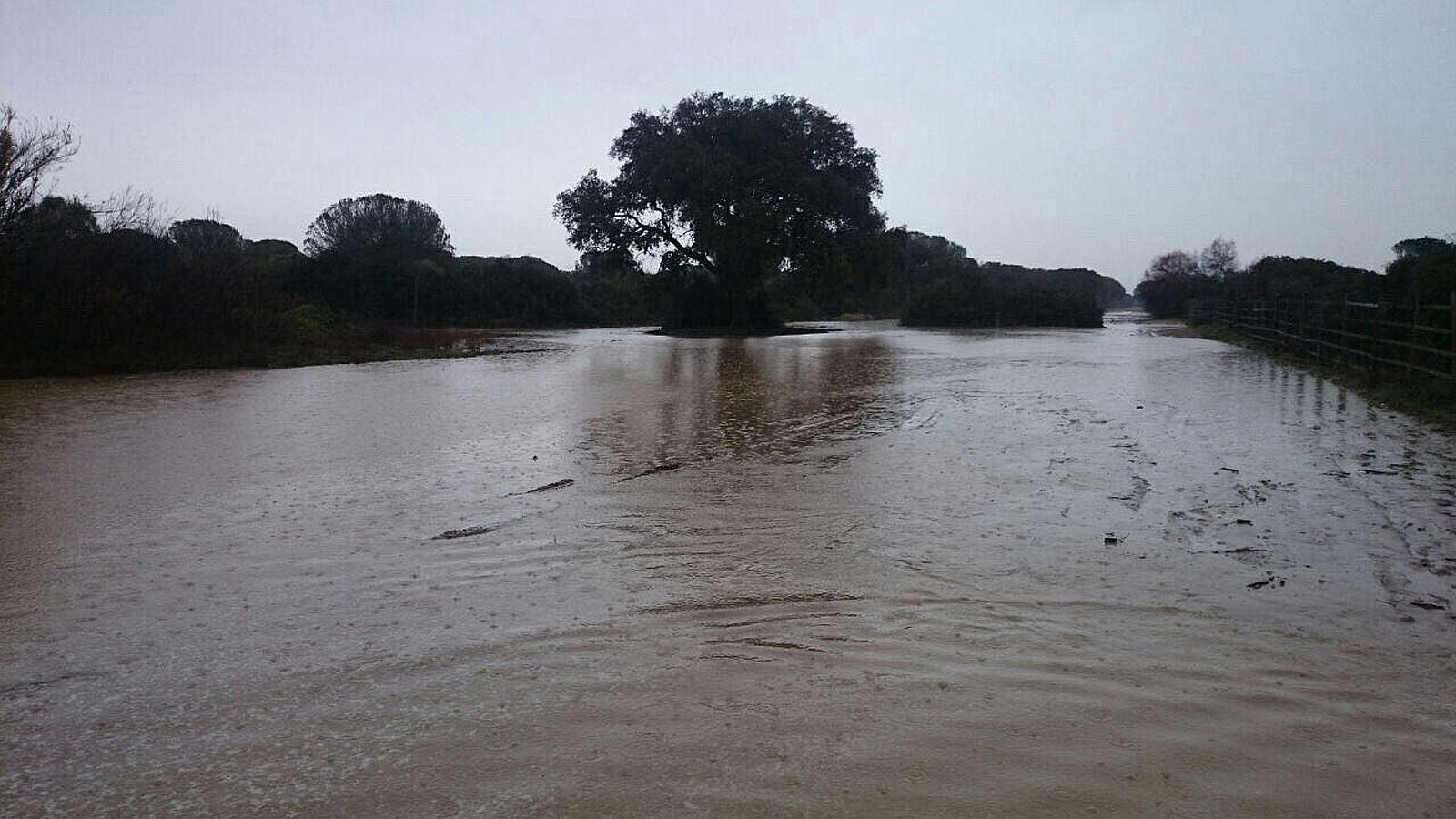 Fotos: Así están los caminos al Rocío