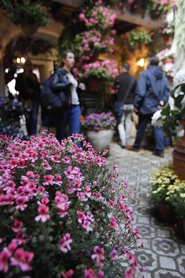 En imágenes, los ganadores del Concurso de Patios 2016