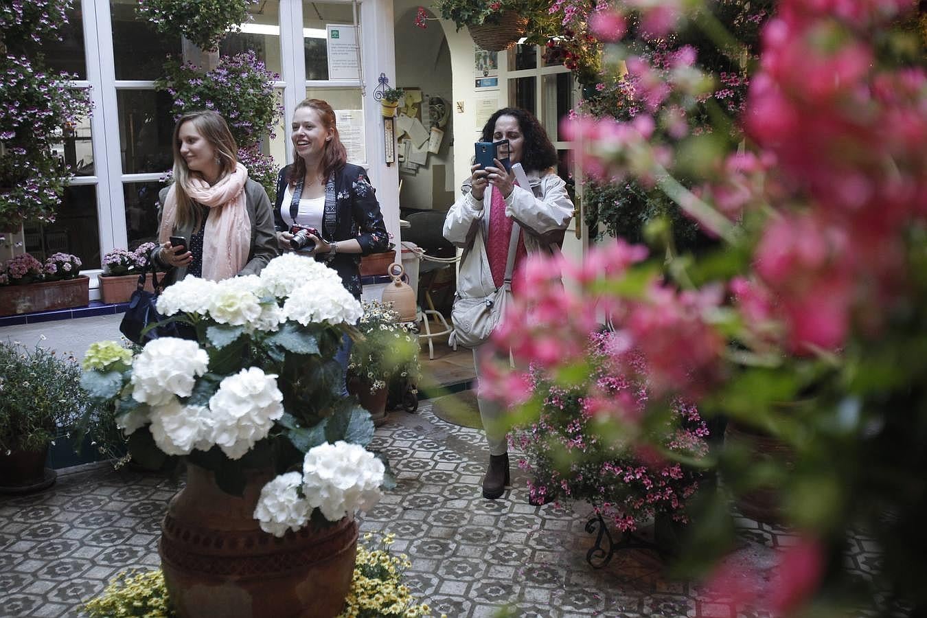 En imágenes, los ganadores del Concurso de Patios 2016