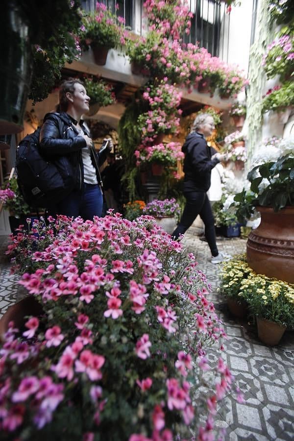 En imágenes, los ganadores del Concurso de Patios 2016