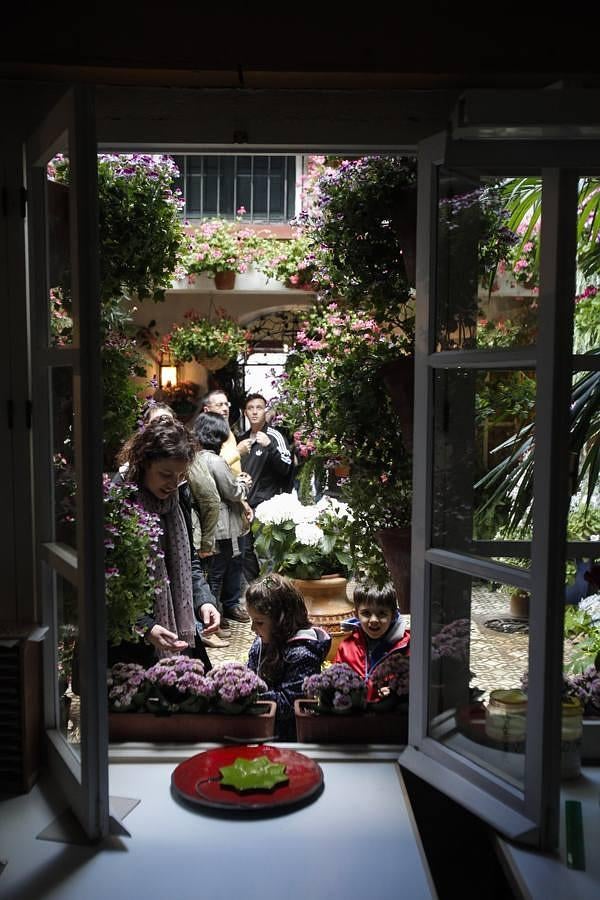 En imágenes, los ganadores del Concurso de Patios 2016