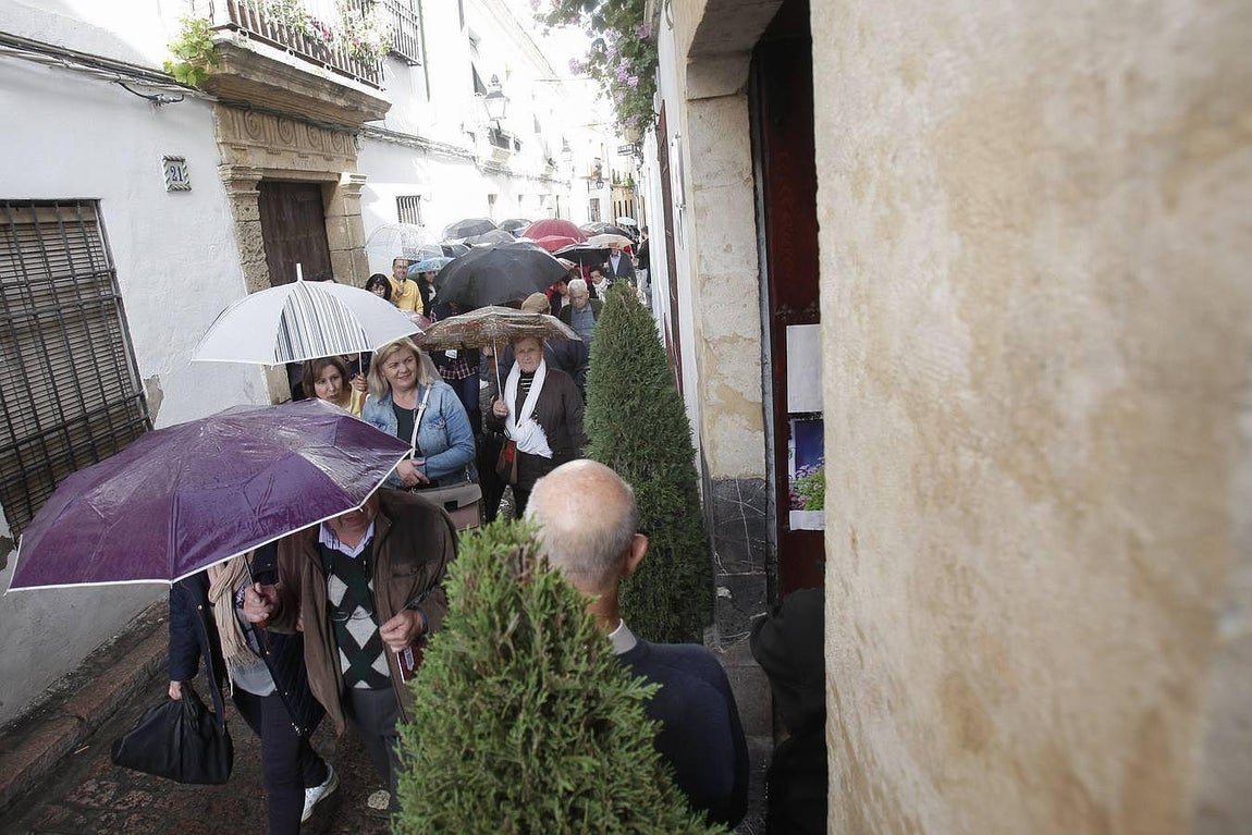 En imágenes, los ganadores del Concurso de Patios 2016