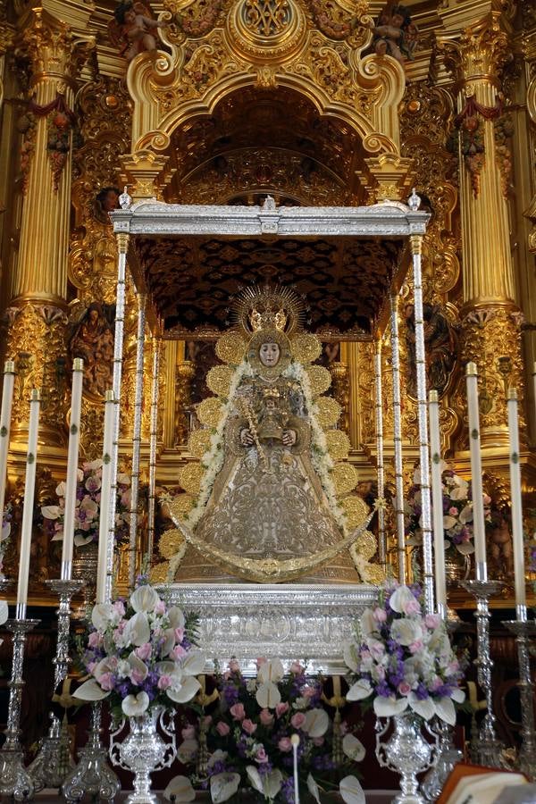 La hermandad de Córdoba en el Rocío