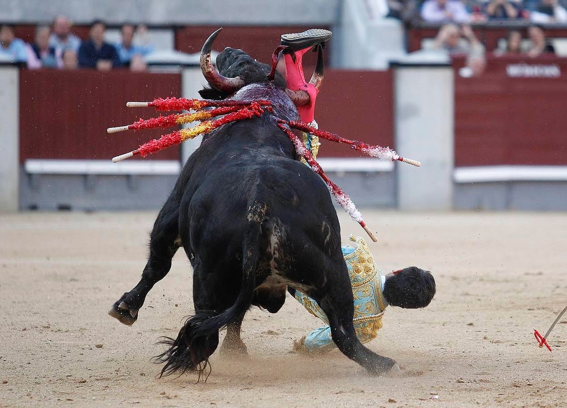 Sangre y orejas de auténticos novilleros en Madrid