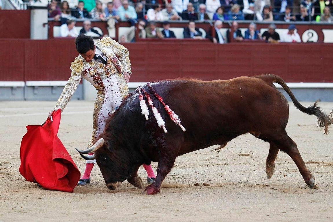 Sangre y orejas de auténticos novilleros en Madrid