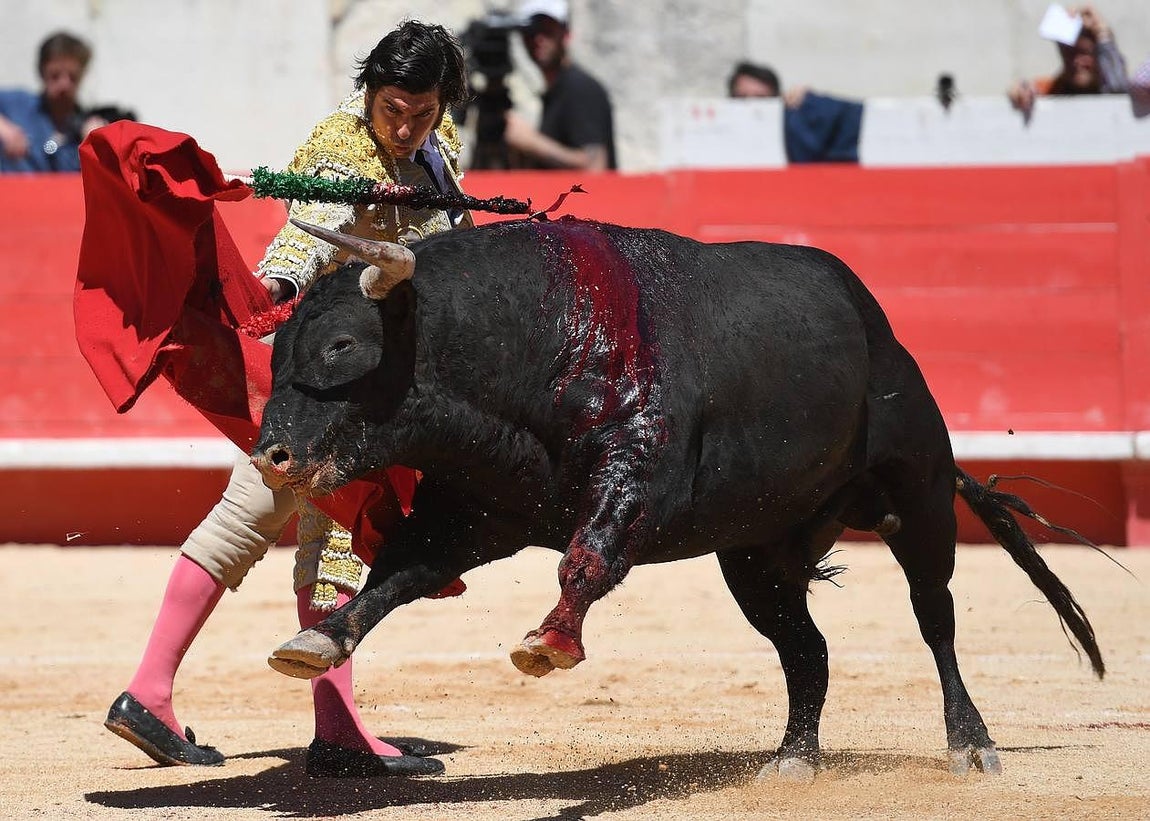 La Feria taurina de Nimes, en imágenes