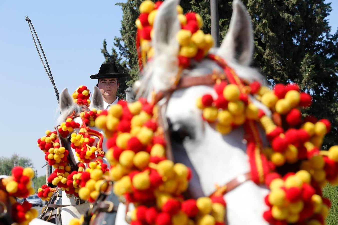 A la Feria de la Salud, a caballo