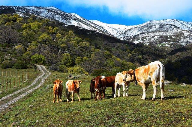 Día Europeo de los Parques: 24 de mayo. 