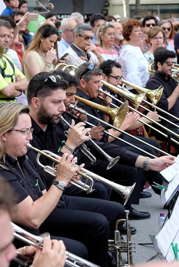 La ROSS denuncia sus penuarias económicas en plena Plaza Nueva