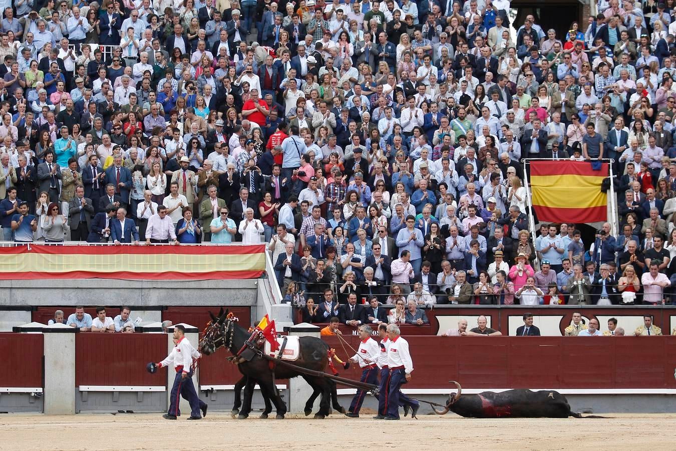 El triunfo de David Mora con un gran alcurrucén en Las Ventas, en imágenes