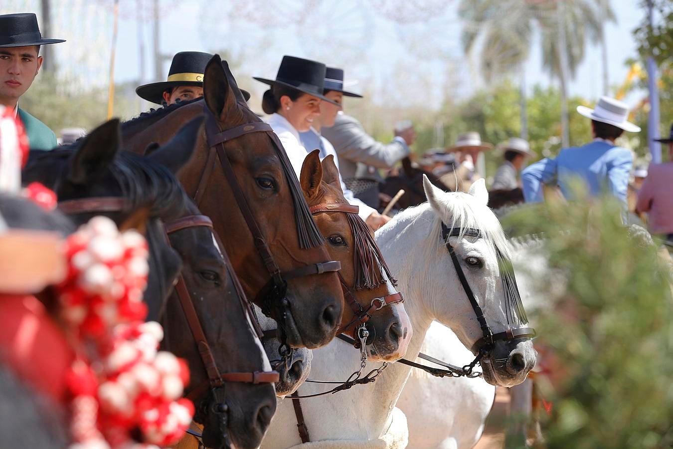 La Feria de Córdoba desde la grupa de un caballo