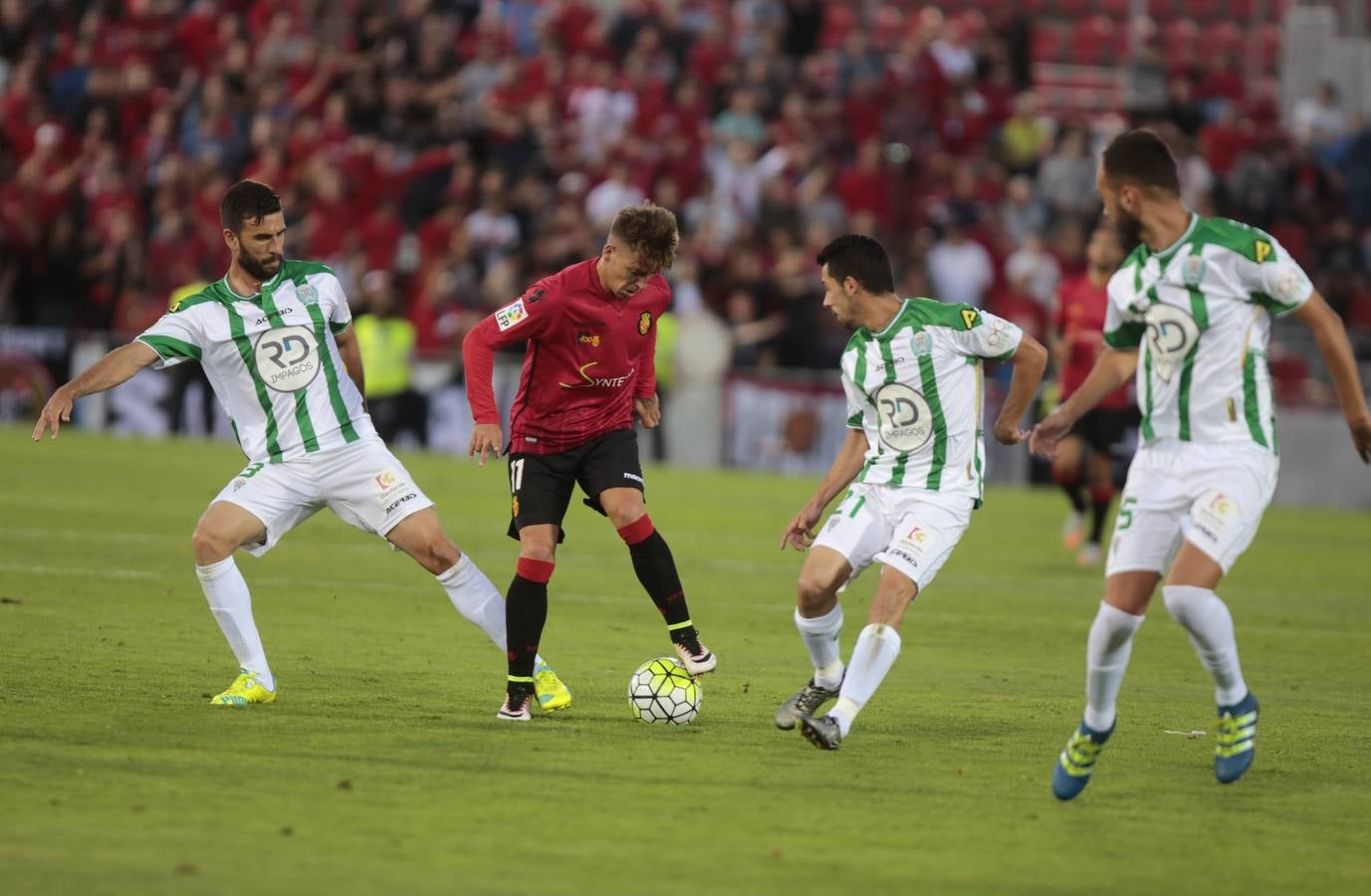 El triunfo del Córdoba en Mallorca, en imágenes