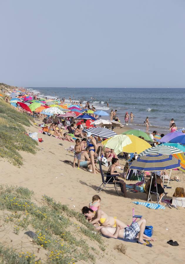 El verano asoma ya en Sevilla